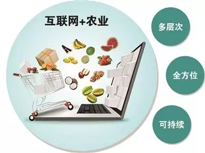 反贫困战略新转向：《反方向の扶贫》探索未来趋势